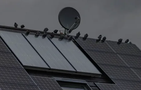 Tierabwehr bei PV-Anlagen