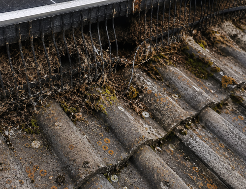 Photovoltaik Taubenschutz aus Edelstahl – Rostfreie Qualität von MTI für langlebigen Schutz