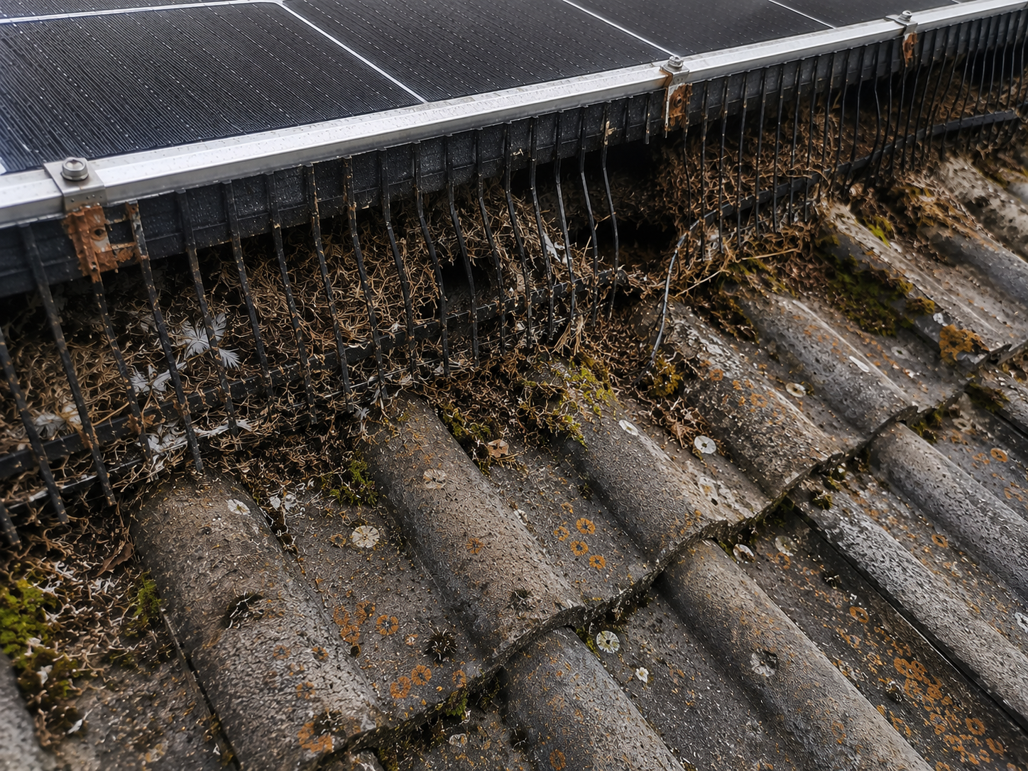 Photovoltaik Taubenschutz aus Edelstahl