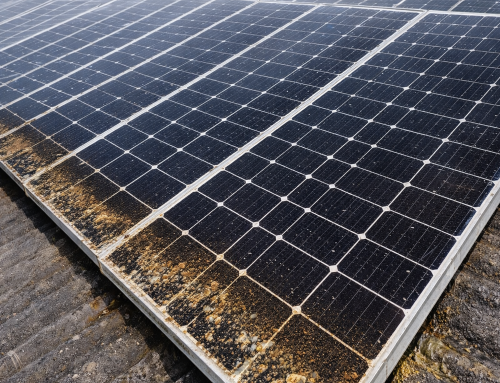 PV-Modulreinigung: Warum saubere Solarmodule mehr Ertrag bringen
